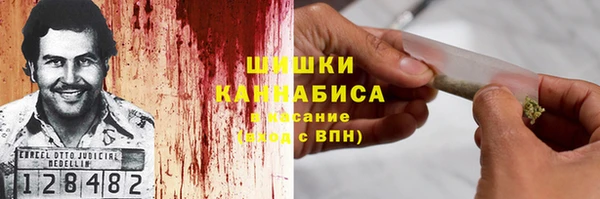 хмурый Аркадак