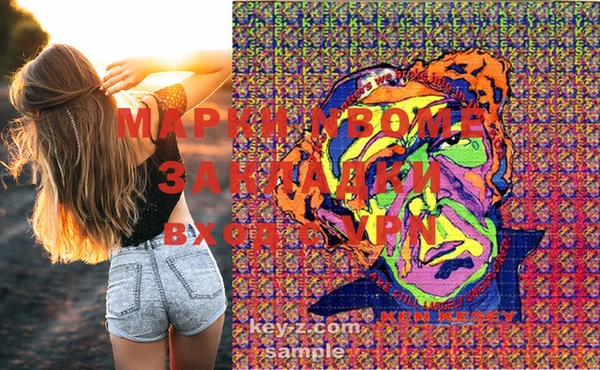 хмурый Аркадак