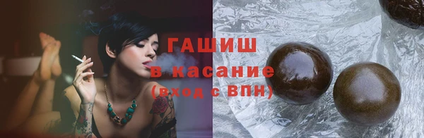 хмурый Аркадак