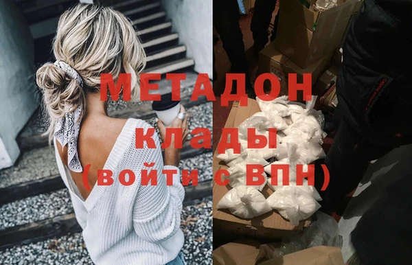хмурый Аркадак