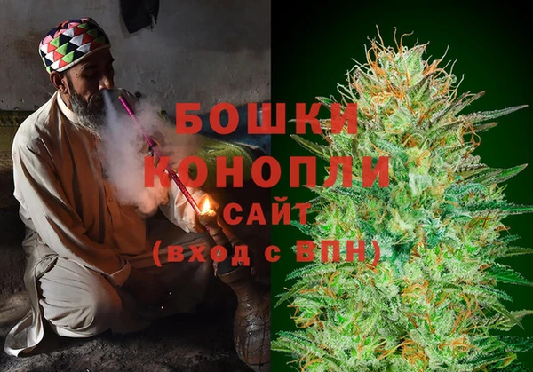 хмурый Аркадак
