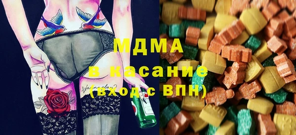 хмурый Аркадак