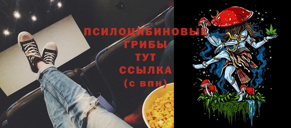 Альфа ПВП Арсеньев