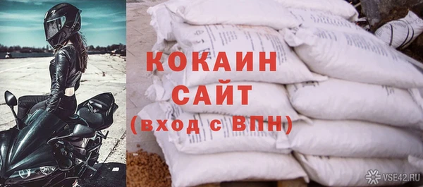 хмурый Аркадак