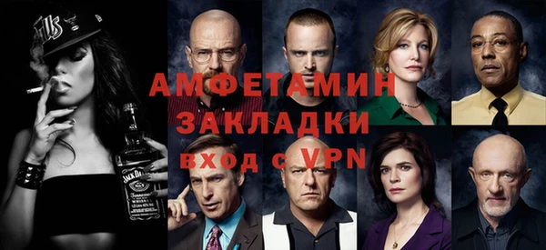 хмурый Аркадак